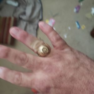 Meet your Posher, Shane